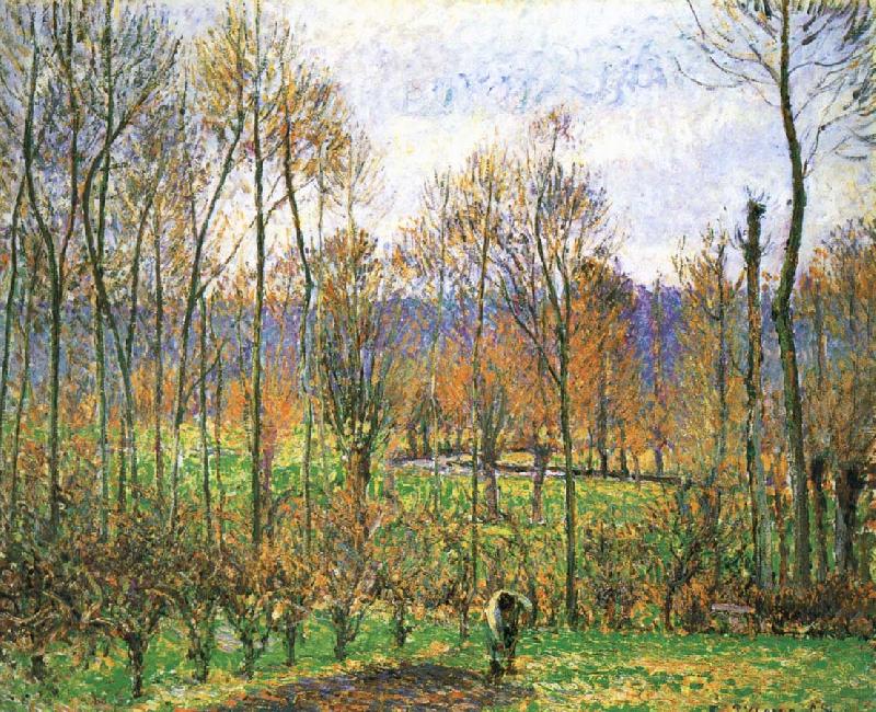 Cloudy Poplar, Camille Pissarro